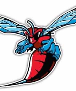 Delaware State Hornets College NCAA Vinyl Logo Vinyl Decals Sticker For Car Truck Door And Window Laptop Gifts For Fans
