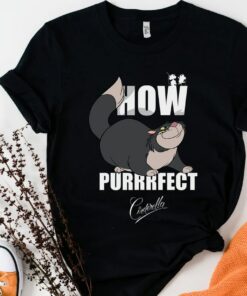 Disney Cinderella Lucifer How Purrrfect Vintage T-Shirt Unisex Adult T-shirt Kid shirt Gift for Birthday Hoodie Sweatshirt Toddler Tee