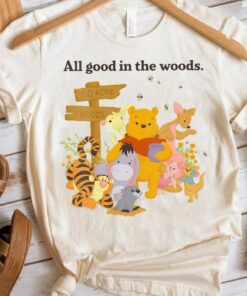 Disney Winnie The Pooh Group Shot All Good In The Woods Shirt, Magic Kingdom Trip Unisex T-shirt Family Birthday Gift Adult Kid Toddler Tee