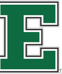 Eastern Michigan Eagles NCAA Logo Vinyl Decals Sticker For Car Truck Door And Window Laptop Gift For Fans