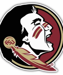 Florida State Seminoles College NCAA Logo Vinyl Decals Sticker For Car Truck Door And Window Laptop