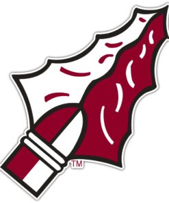Florida State Seminoles NCAA Logo Vinyl Decals Sticker For Car Truck Door And Window Laptop