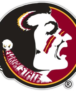 Florida State Seminoles NCAA Logo Vinyl Decals Sticker For Car Truck Door And Window Laptop Gift For Fans