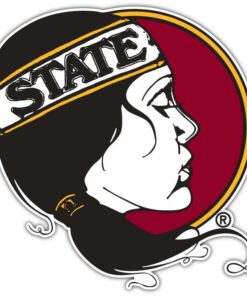 Florida State Seminoles NCAA Logo Vinyl Decals Sticker For Car Truck Door And Window Laptop Gifts For Fans