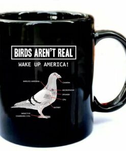 Generic Birds Arent Real Funny Black 11Oz Ceramic Mug Coffee Mug