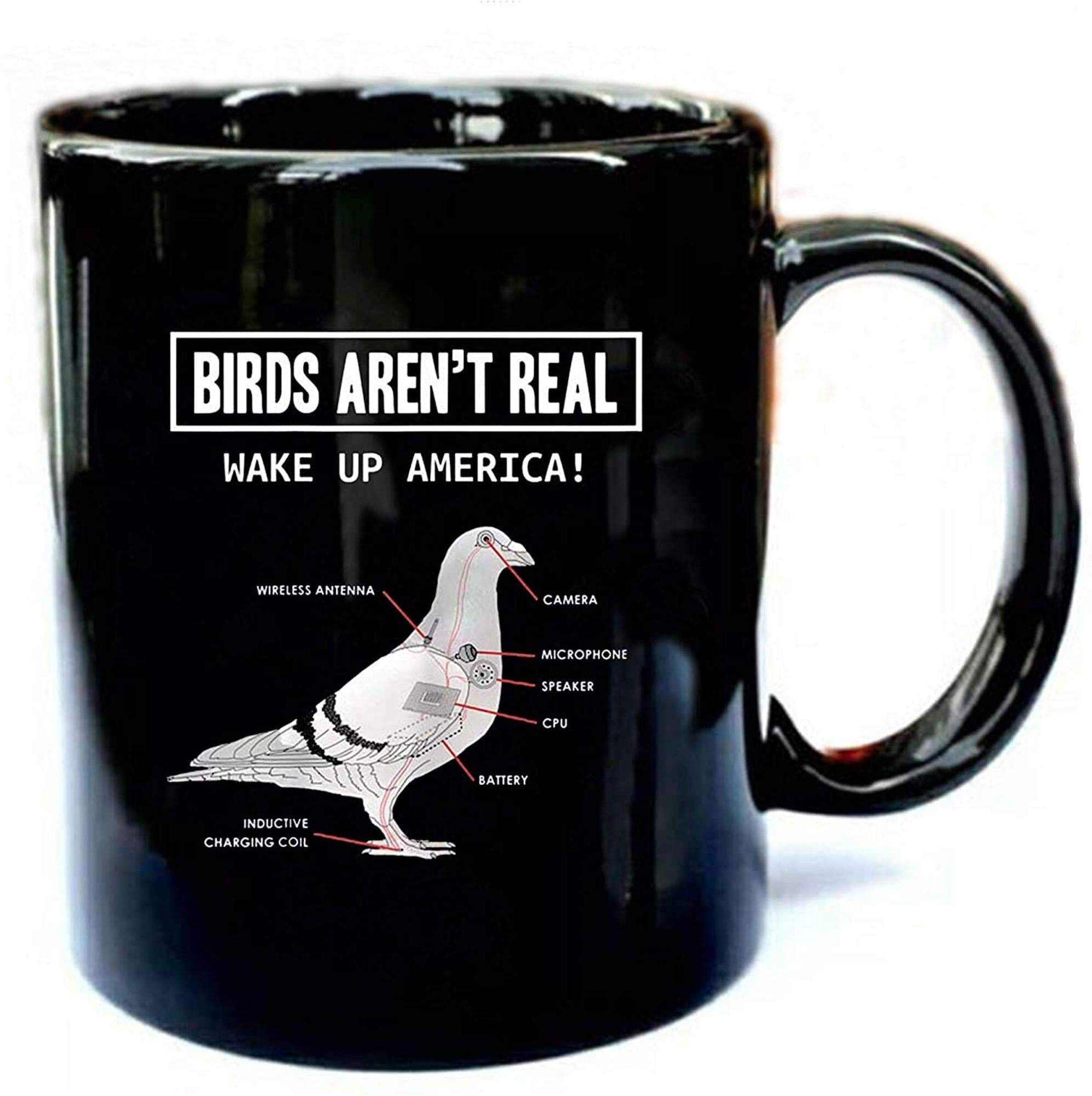 Generic Birds Arent Real Funny Black 11Oz Ceramic Mug Coffee Mug