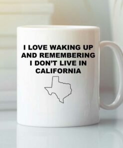 Hillary Clinton But Her Emails Mug