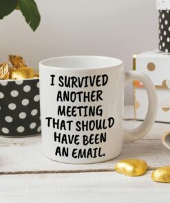 I Survived Another Meeting That Should Have Been An Email Mug Coworker Appreciation Gifts Funny Coworker Coffee Mug Office Mug Gifts For Boss Manager Colleague On Birthday Christmas