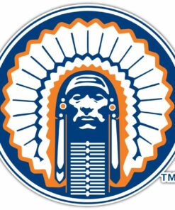 Illinois Fighting Illini NCAA Car Logo Vinyl Decals Sticker For Car Truck Door And Window Laptop Gifts For Fans