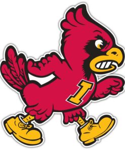 Iowa State Cyclones NCAA Logo Vinyl Decals Sticker For Car Truck Door And Window Laptop Gift idea For Fan