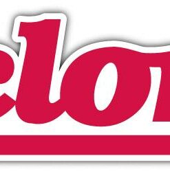 Iowa State Cyclones NCAA Vinyl Decals Sticker For Car Truck Door And Window Laptop