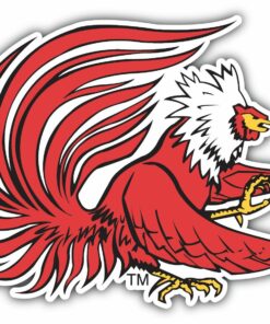 Jacksonville State Gamecocks College NCAA Logo Vinyl Decals Sticker For Car Truck Door And Window Laptop
