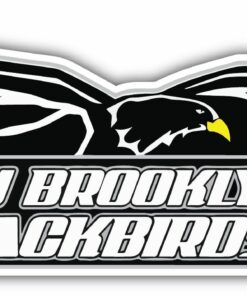 LIU Brooklyn Blackbirds College NCAA Logo Vinyl Decals Sticker For Car Truck Door And Window Laptop Gifts For Fans