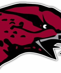 Maryland Eastern Shore Hawks College NCAA Logo Vinyl Decals Sticker For Car Truck Door And Window Laptop Gifts For Fans