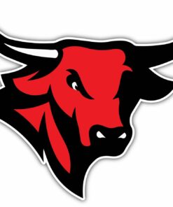 Nebraska Omaha Mavericks College NCAA Logo Vinyl Decals Sticker For Car Truck Door And Window Laptop Gift For Fans