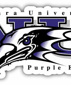 Niagara Purple Eagles College NCAA Logo Vinyl Decals Sticker For Car Truck Door And Window Laptop Gifts For Fans