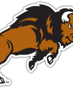 North Dakota State Bison NCAA Logo Vinyl Decals Sticker For Car Truck Door And Window Laptop Gift For Fan