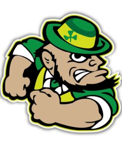 Notre Dame -Leprechaun- Full Color Vinyl Sticker For Car Door Windows Gifts For Football Fans