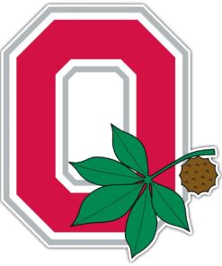 Ohio State Buckeyes NCAA Logo Vinyl Decals Sticker For Car Truck Door And Window Laptop
