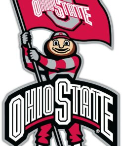Ohio State Buckeyes NCAA Vinyl Decals Sticker For Car Truck Door And Window