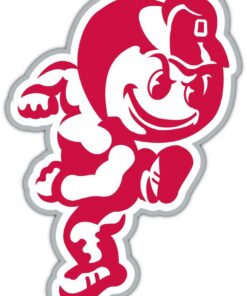 Ohio State Buckeyes NCAA Vinyl Decals Sticker For Car Truck Door And Window Laptop Gifts For Fan
