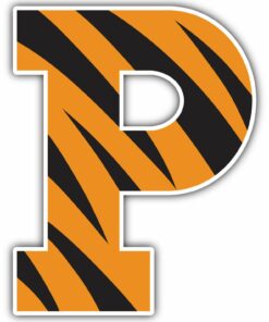 Princeton Tigers University College NCAA Logo Vinyl Decals Sticker For Car Truck Door And Window Laptop Gifts For Fans