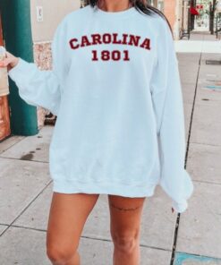 South Carolina Year Game Sweatshirt, College Gameday, Carolina Sweatshirt Hoodie Shirt, Carolina Crew Pullover, Travel South Carolina, Game Day Carolina