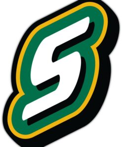Southeastern Louisiana Lions NCAA Logo Vinyl Decals Sticker For Car Truck Door And Window Laptop