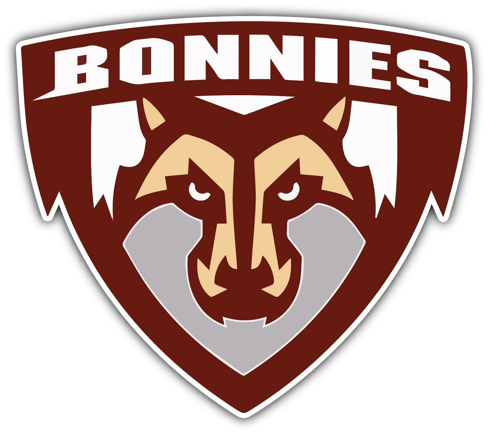 St. Bonaventure Bonnies College NCAA Logo Vinyl Decals Sticker For Car Truck Door And Window Laptop Gifts For Fans