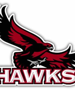 St. Joseph's Hawks University College NCAA Logo Vinyl Decals Sticker For Car Truck Door And Window Laptop Gifts For Fans