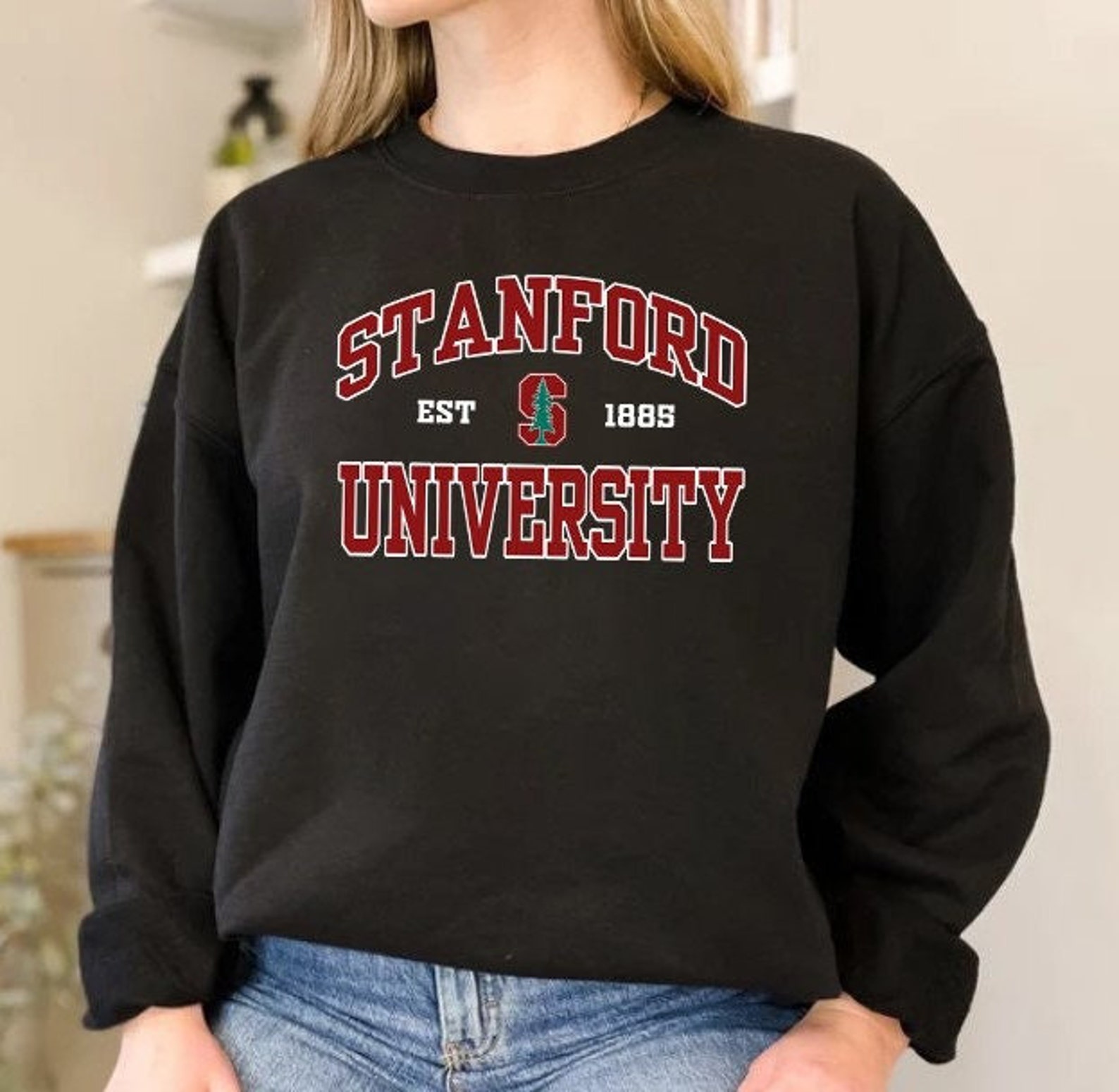 Stanford University, Stanford Sweatshirt, Northeastern University Sweatshirt, Northeastern Sweatshirt, Gift for Student, Stanford Shirt