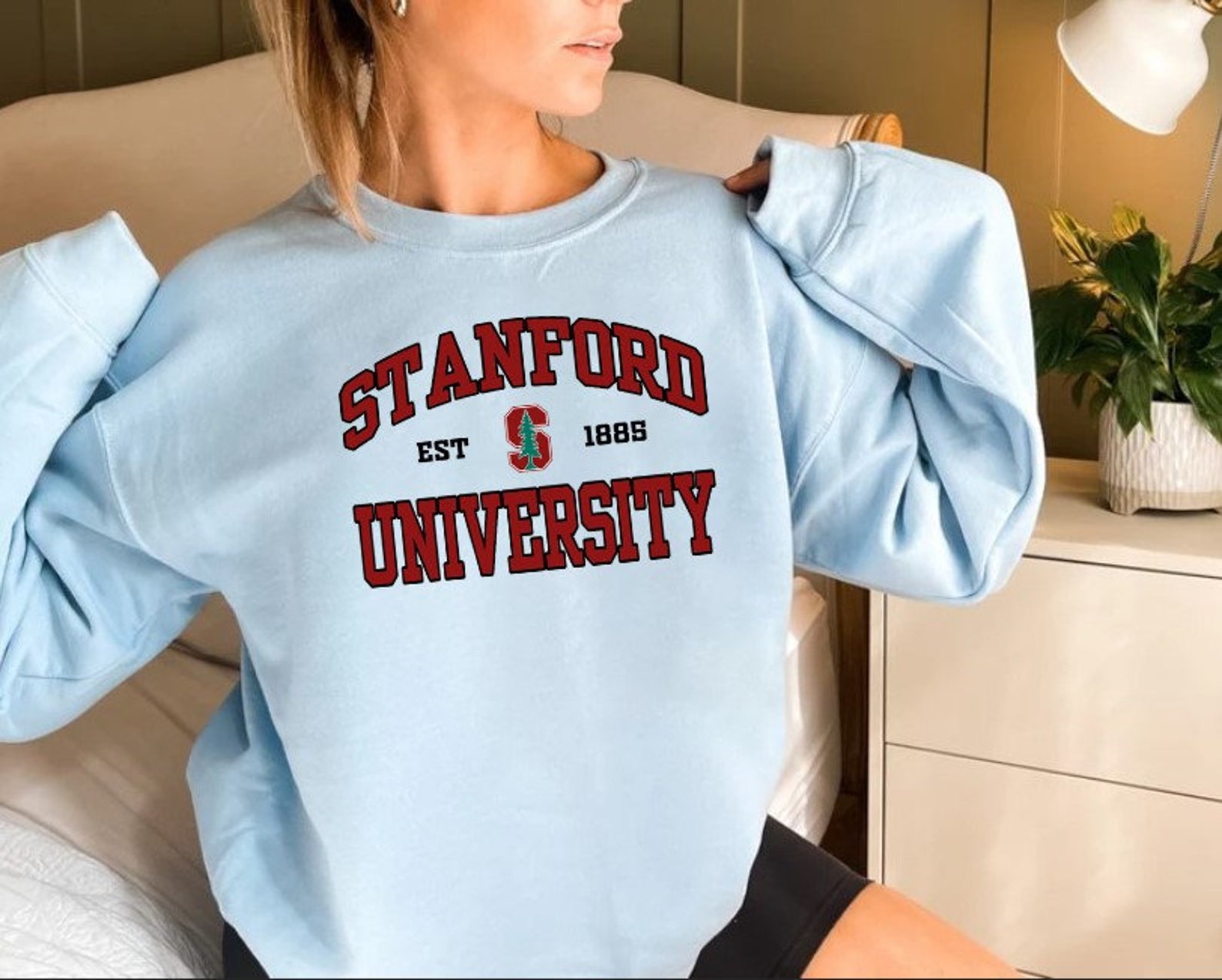 Stanford University, Stanford Sweatshirt, Northeastern University Sweatshirt, Northeastern Sweatshirt, Gift for Student, Stanford Shirt