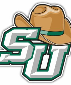 Stetson Hatters University College NCAA Logo Vinyl Decals Sticker For Car Truck Door And Window Laptop Gifts For Fans