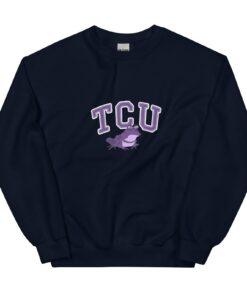 TCU Hypnotoad Sweatshirt, TCU Funkytown Sweatshirt, Frogs Hypnotoad Sweatshirt, Sonny Dykes, TCU Football Merch, Funny Frog Sweatshirt