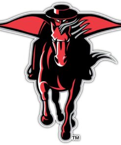 Texas Tech Red Raiders NCAA Logo Vinyl Decals Sticker For Car Truck Door And Window Laptop Gifts For Fans