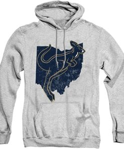 The University Of Akron Official Ohio Unisex Adult Pull-Over Hoodie