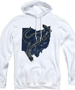 The University Of Akron Official Ohio Unisex Adult Pull-Over Hoodie
