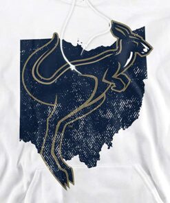 The University Of Akron Official Ohio Unisex Adult Pull-Over Hoodie