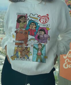 Turning Red Sweatshirt, 4Town Sweatshirt, Red Panda, Meilin Lee Sweater, Walt Disney World, Fur Baby, Red Panda Sweater, Nobody Like You