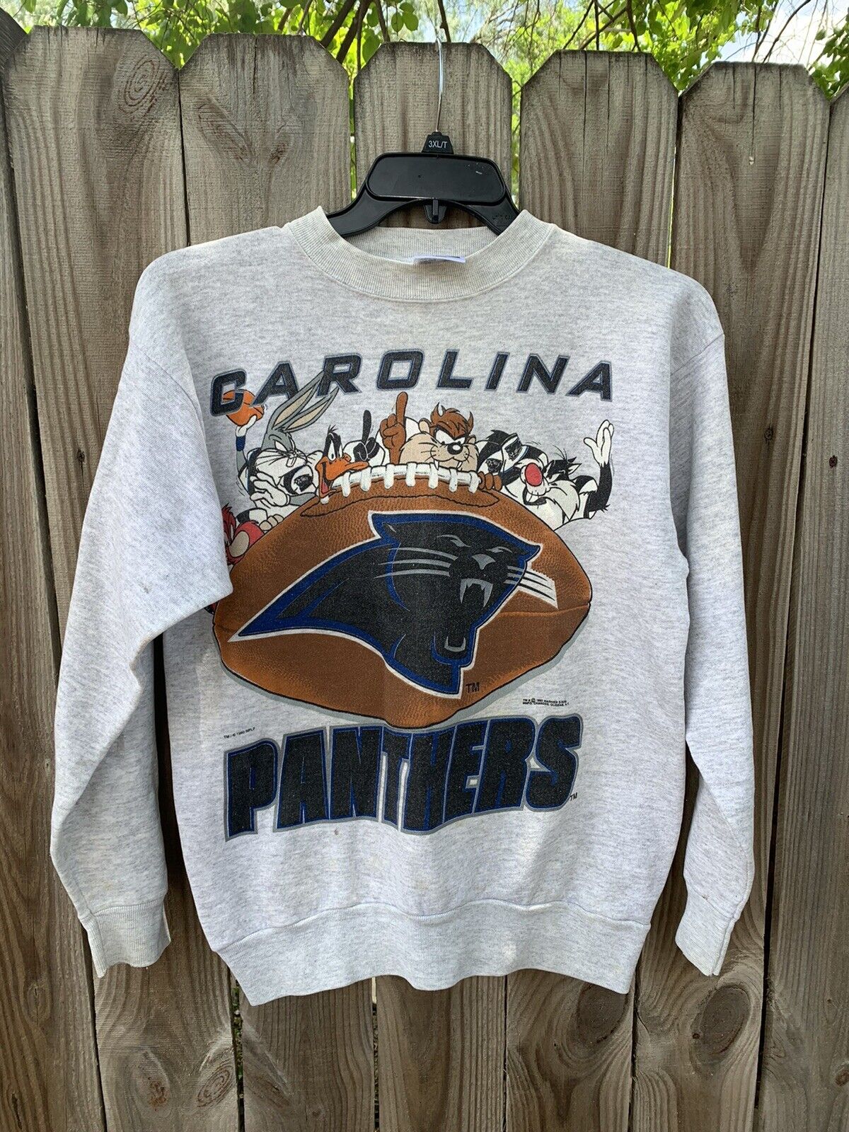 Vintage 1993 Looney Tunes Carolina Panthers Sweatshirt, Hoodie, Shirt, USC Hoodie Gifts for NCAA Fans