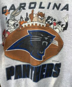 Vintage 1993 Looney Tunes Carolina Panthers Sweatshirt, Hoodie, Shirt, USC Hoodie Gifts for NCAA Fans