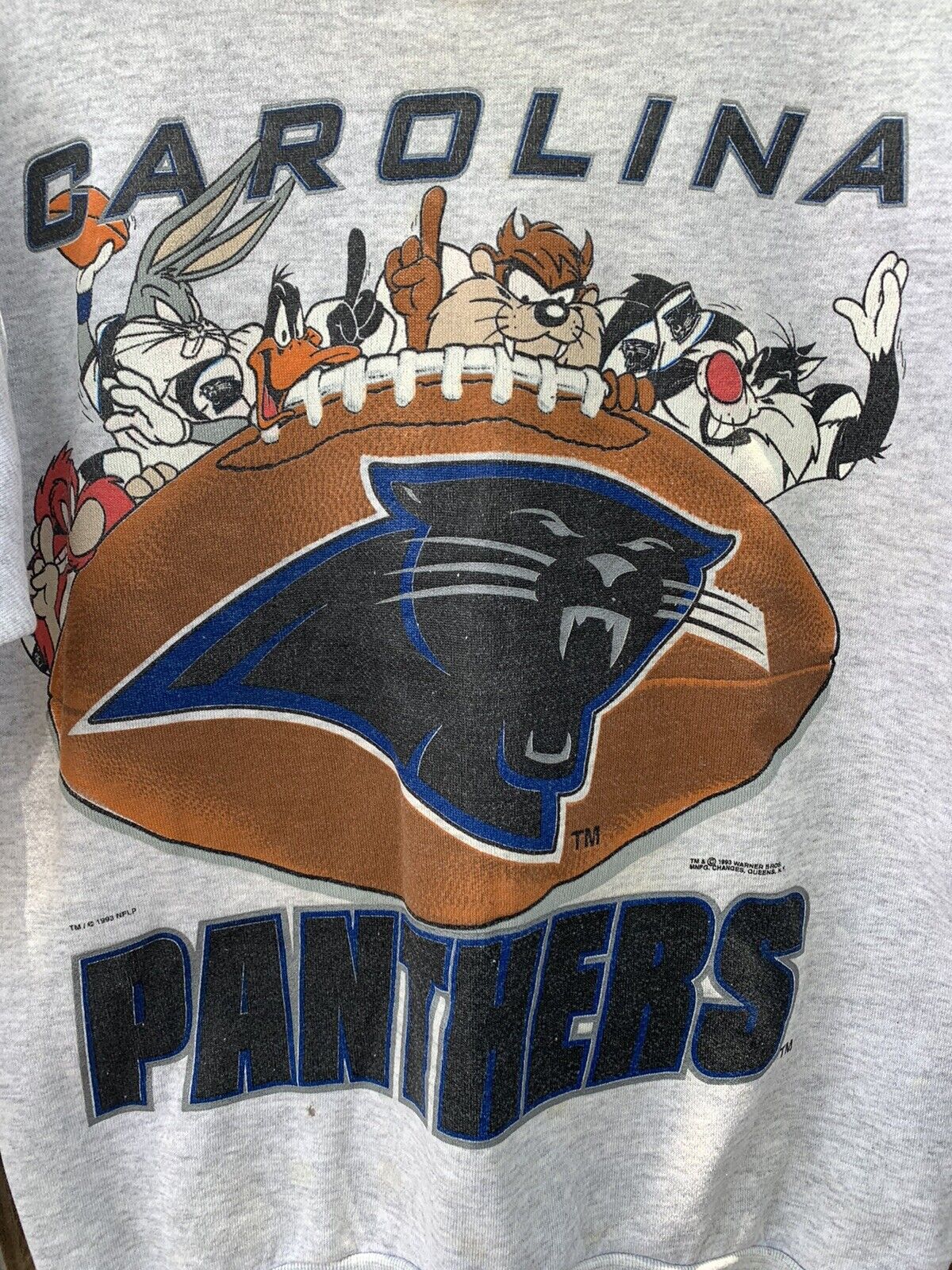 Vintage 1993 Looney Tunes Carolina Panthers Sweatshirt, Hoodie, Shirt, USC Hoodie Gifts for NCAA Fans