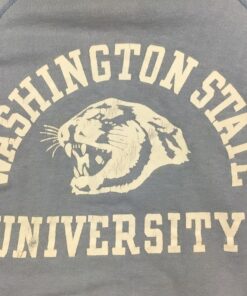 Vintage 70S Champion Washington State Cougars Crewneck Sweatshirt, WSU Sweatshirt Gifts for Fans, Washington State Cougar Sweatshirts
