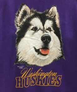 Vintage 90s Washington Huskies Football Team Sweatshirt Crewneck, Vintage Shirt, T Shirt, Hoodie