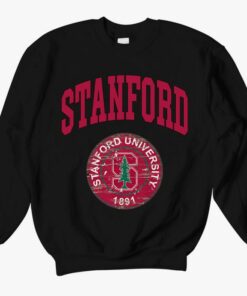 Vintage Stanford Sweatshirt, Stanford University, Usa College Crewneck, University Sweater