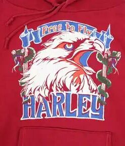 Vintage Style 70s 80s Harley Davidson Eagle Red Usa Boxy T-Shirt Sweatshirt Pullover Hoodie Reprinted Full Color Full Size