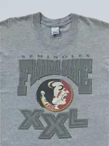 Vintage Style 90s Florida State Seminoles On T-Shirt Sweatshirt Pullover Hoodie Reprinted Full Color Full Size