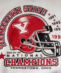 Vintage Style 90s Youngstown State Football Champions Sweatshirt, University Youngstown Sweater, Gift for Her, Gift For Him, Youngstown Sweatshirt