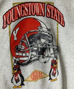 Vintage Style 90s Youngstown State Sweatshirt, Youngstown State Shirt, Youngstown State Hoodie, Gift for Her, Gift For Him