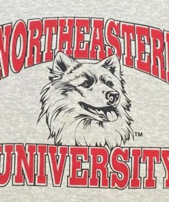 Vintage Style Northeastern University Crewneck Sweatshirt, Gift For Her, Gift For Him, Northeastern Sweater